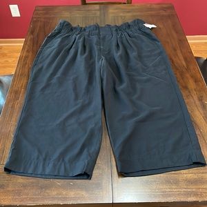 Lane Bryant Elastic (Gathered Waist) Pleated Ankle Pant (NWT)